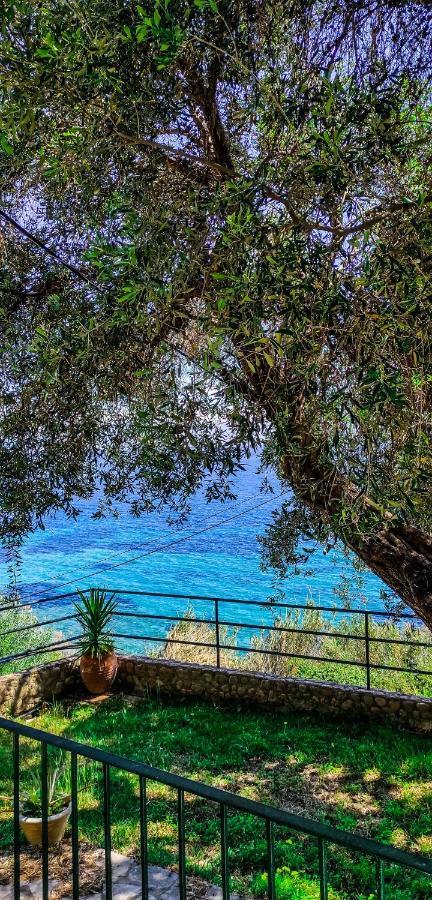 Villa Fourtuna Apartment Agios Ioannis Peristerion Exterior foto