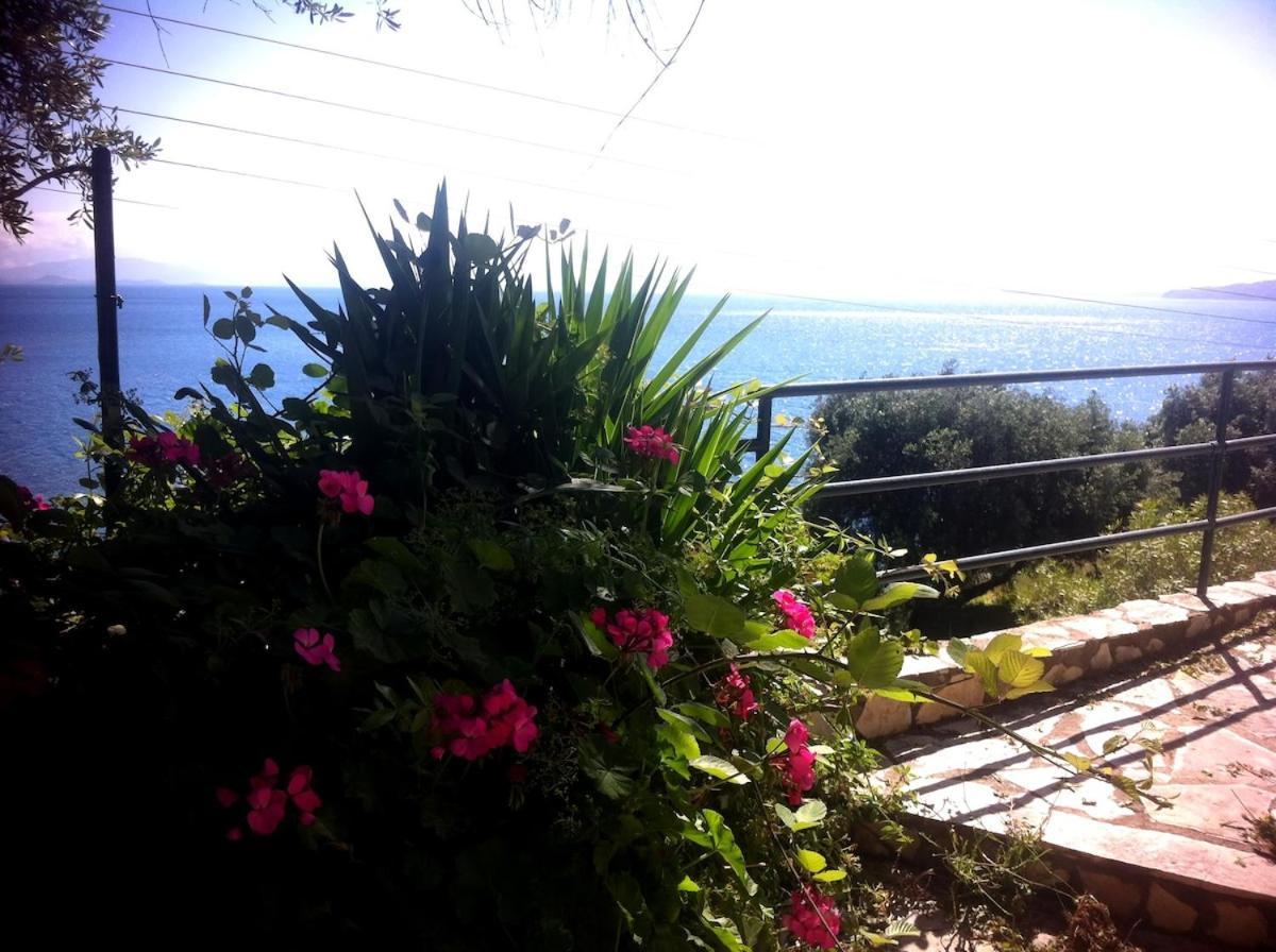Villa Fourtuna Apartment Agios Ioannis Peristerion Exterior foto
