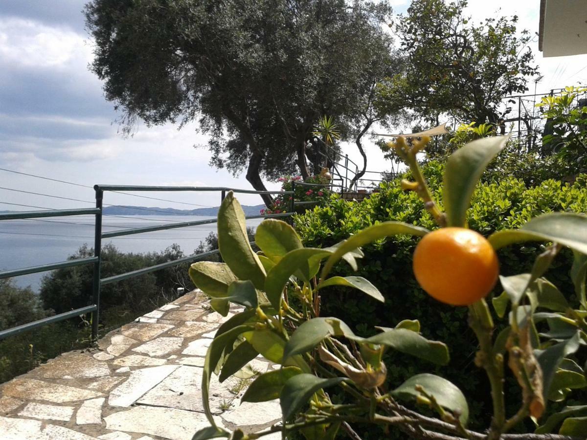 Villa Fourtuna Apartment Agios Ioannis Peristerion Exterior foto